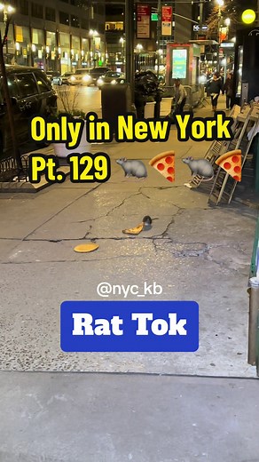 Pizza Rats of New York - A Culinary Adventure