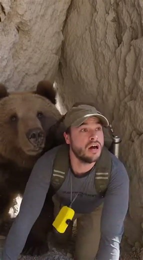 Marsican brown bear sprinted at me on a bright ridge path #brownbear