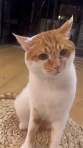 Mark Taylor (@mark.taylor658)’s videos with original sound - Mark Taylor