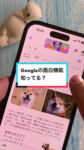 Googleの面白機能を試してみよう♪