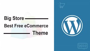 Big Store Free ECommerce WordPress Theme 2025