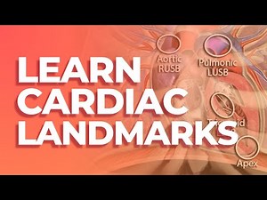 Cardiac Landmarks | MedStudy's Heart Sounds