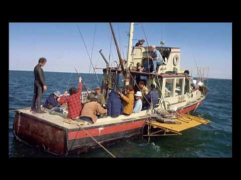 ORCA Rebuild Hype Video