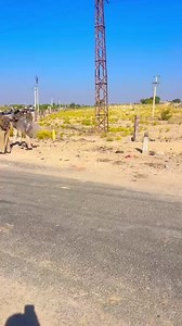 वीर तेजाजी महाराज की मूर्ति हटाने पर हंगामा हजारों लोगों की आस्था को ठेस पहुँची हैं सभी भाई ज़्यादा से ज़्यादा संख्या में पहुँचे 🙏🙏🙏 | King JD Don