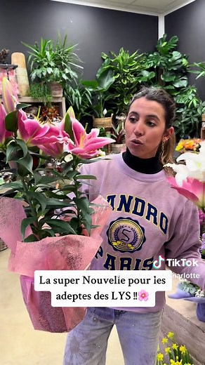 Découvrez la Fleur de Lys et ses Secrets !