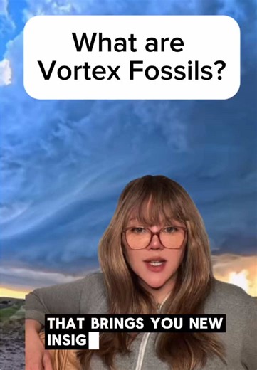 What are vortex fossils? #vortex #earth #theory #science