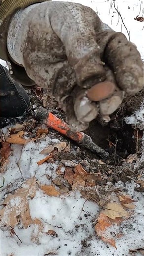 9 Buffalo Nickels then this.. #metaldetecting #shorts