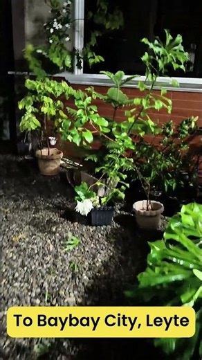 Typhoon Opong #shorts #typhoon #philippines