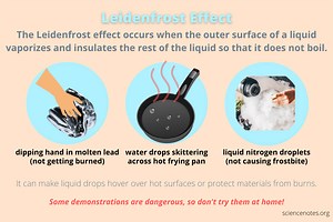 Leidenfrost Effect Definition and Examples