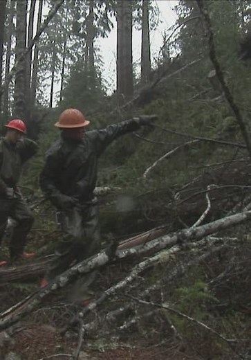 Ax Men S01:E12 - The Toughest Season