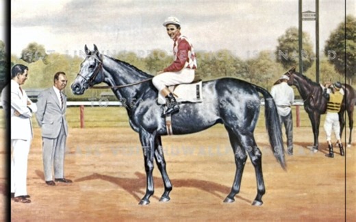 Native Dancer（天才舞者;ネイティヴダンサー）相关历史影像合集