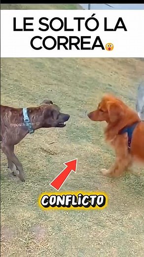 Golden demonstrates his power