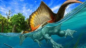 Spinosaurus aegyptiacus: Paleontologists Unveil First Semiaquatic Dinosaur | Paleontology | Sci-News.com