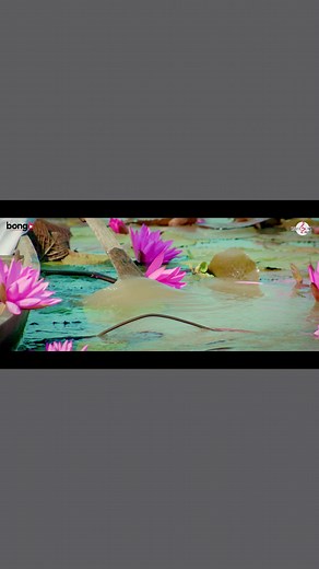 45K views · 1.8K reactions | Megher Nouka. KONAL-IMRAN-AsifIqbal-ChayanikaChow-Prahelika | Konal | Facebook