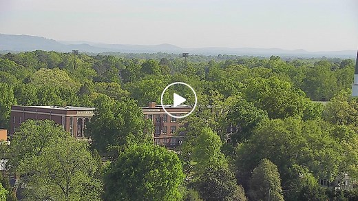 Hickory Foothills Cam