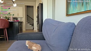 Alinity - COOKING!!!!!!