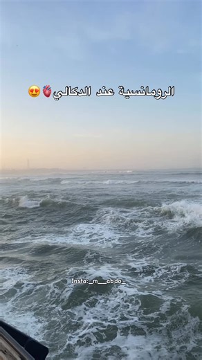 ‎عبدالعالي منوبي-Abdelali Minoubi‎ on Instagram‎: "#دكالة🇲🇦🇲🇦❤️❤️❤️ #fy #التبوريدة #fyyyyyyyyyyyyyyyyyyyyyyyyyyyyyyyyyyyyyyyyyyyyyyyyyyyyyyyyyyyyyyyyyyyyyyyyyyyyyyyyyyyyyyyyyyyyyyyyy #موسم_مولاي_عبد_الله_امغار"‎