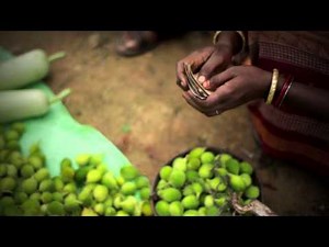 Lives of Others | Sustainable Agriculture in India