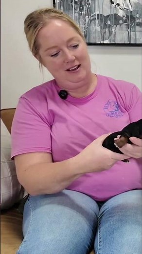 🐶 Sweet Beginnings for These Cavapoo Puppies 🐶