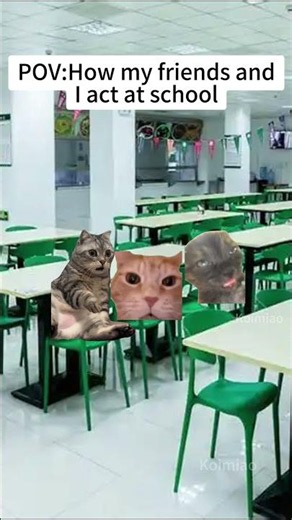 CAT MEMES🐱How my friends and I act at school #catmemes #memes #funnymemes #funny #relationship