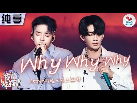 【纯享版】三厨狂喜！Amber刘逸云王赫野默契合作王嘉尔《Why Why Why》 慵懒嗓音搭配律动旋律 浪漫氛围拉满！#我们的歌第五季 Singing With Legends S5 Clip