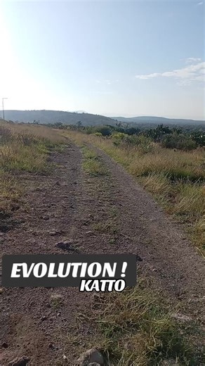 Videos de K2 evolution!🎚️🎛️🎧🎤🪐🚀 (@evolution.by.katto) con “original sound - General huevo.”