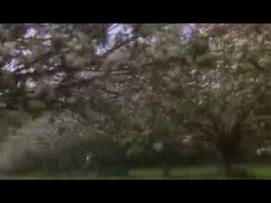 Excalibur 1981 Prepare for battle