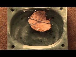 Discovery of Magnetism - Science, Class 8 Video Lecture