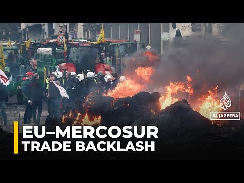 EU-Mercosur trade deal delayed amid farmer and environmental opposition
