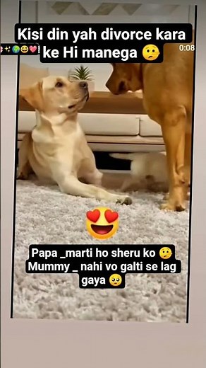 Papa _sheru ko marti ho mummy_nahi mai to pyar kar rahi thi 🤥#dogshorts #funny #trend #shorts dog