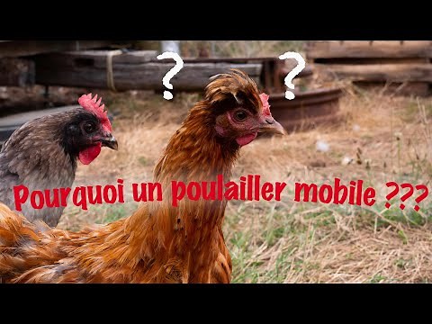 Why a mobile chicken coop?