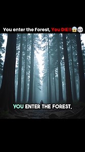 19K views · 54 reactions | The Blackwood Curse | Trailer | Pocket FM | You Enter the Forest You Die! Follow Pocket FM to catch every upcoming episod  Stay updated and never miss a story!  #pocketfm #pocketfmdrama #pocketfmfantasy #secret #mystery #enigma #audioseries #horror #fantasyseries #FantasyDrama #foryouシ #fantasy #series #audiobook #foryoupagereels #OfficialChannels #awakening #powerful #aliens #Transformers #TBC | Pocket FM | Facebook