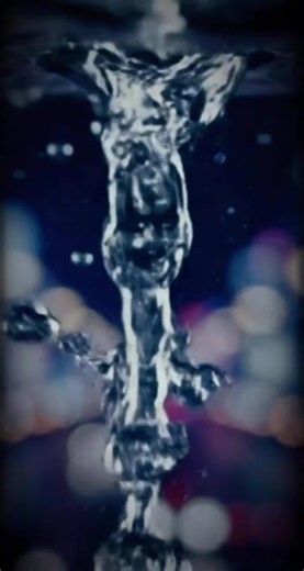 Entropy Reversed [File_002] 📼