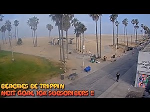 Venice Beach Webcam - Venice Beach Live Cam - venice beach live boardwalk cam