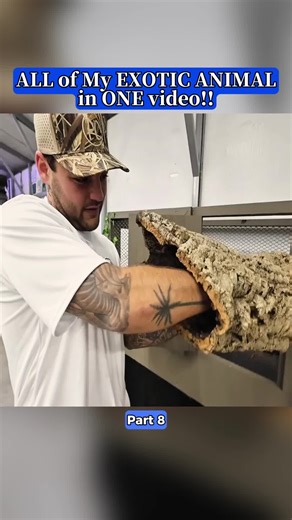 ALL of My EXOTIC ANIMALS in ONE video!! #Wildlife #foryoupage #pets #ExoticPets #ViralAnimals