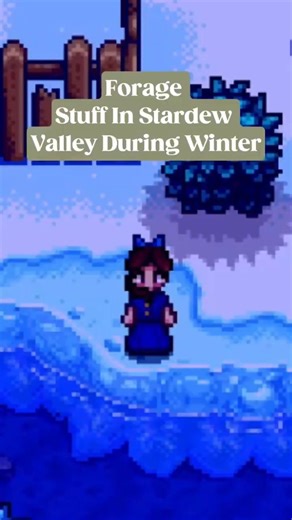 Forage Stuff in Stardew Valley During Winter ❄️🌿