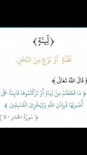 معنى كلمة لينة في القرآن الكريم