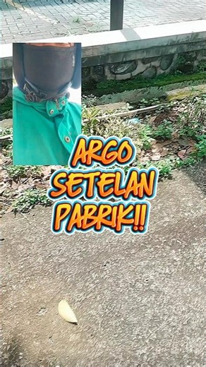 Argo factory settings‼️ #shorts #lalamove #lalamoveindonesia #motovlog #ojol