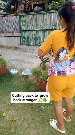 Good morning everyone ❤️ Pruning flowers to encourage new blooms and keep the beauty active. #fblifestyletyle #pruning #flowercaretips #followerseveryone #starseverywhereシ | Helen Castillo