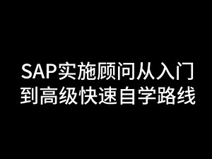 SAP实施顾问从入门到高级快速自学路线，10年 SAP从业经验实施顾问分享入行方法和技巧，一键三连，找我领sap入门资料