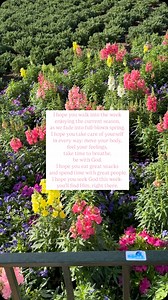 A blessing for the week ahead 💛 | Kayla M. Cook