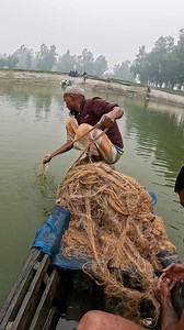 176K views · 1.4K reactions | Amazing Big Catfish Catching Technique By Net #catfish #bigfish #fish #fishing #fishingtime | Local Fishing Videos | Facebook