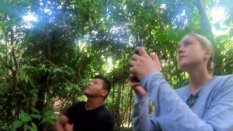 We Found the Amazon's Most Friendly Sloth!!!