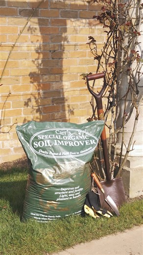 16K views · 204 reactions | It is time to mulch your roses, ensuring...