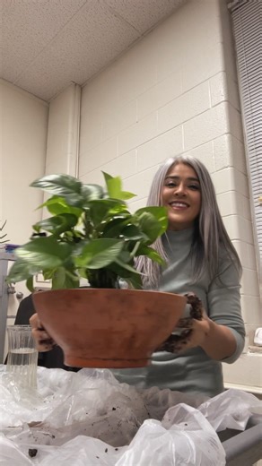 Hi everyone❤️#goodmorning