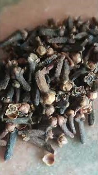Clove: The Spice That Works Like Anaesthesia #ayurveda #sciencebehindtradition