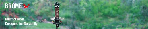 Brome Bird Care