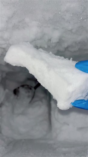 Defrosting My Freezer: A Surprising Texture Experience
