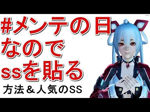 【PSO2・NGS】メンテの日なのでssを貼る歴史と人気のSS撮影の傾向【ニュージェネシス】
