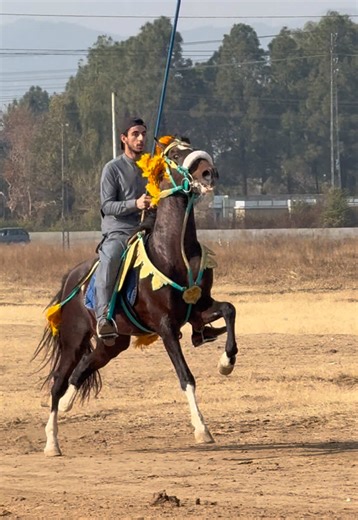 Cloud Burst in Chakwal: Ch Bilal's Unique Take